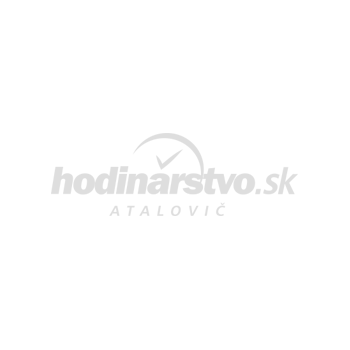 Dámske hodinky Calvin Klein 25100101